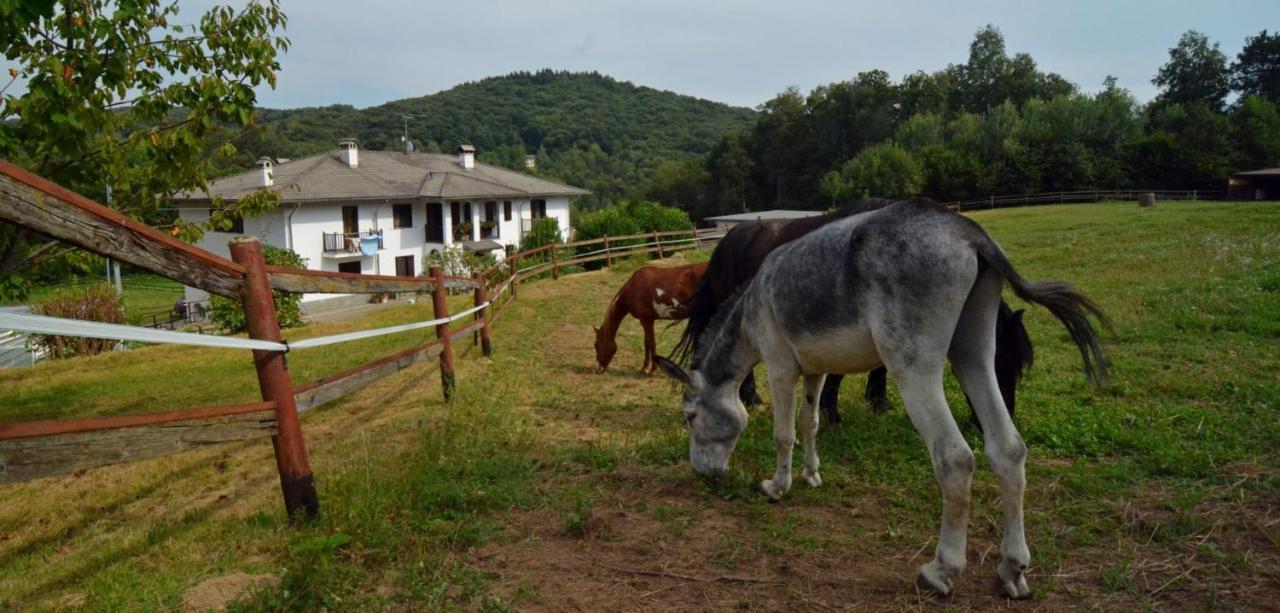 Favetto Family Ranch Rueglio Exterior foto