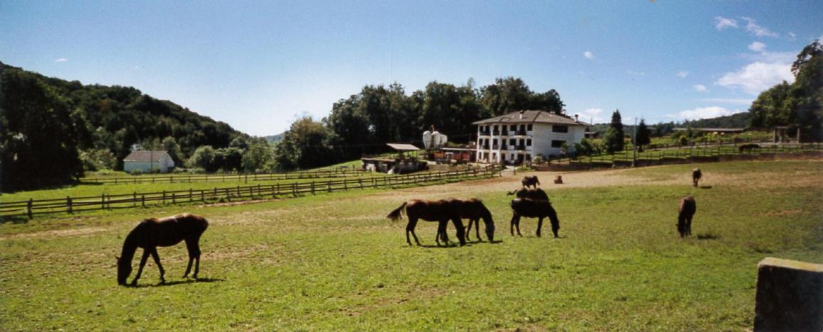 Favetto Family Ranch Rueglio Exterior foto