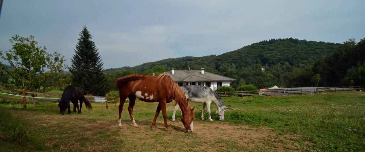 Favetto Family Ranch Rueglio Exterior foto