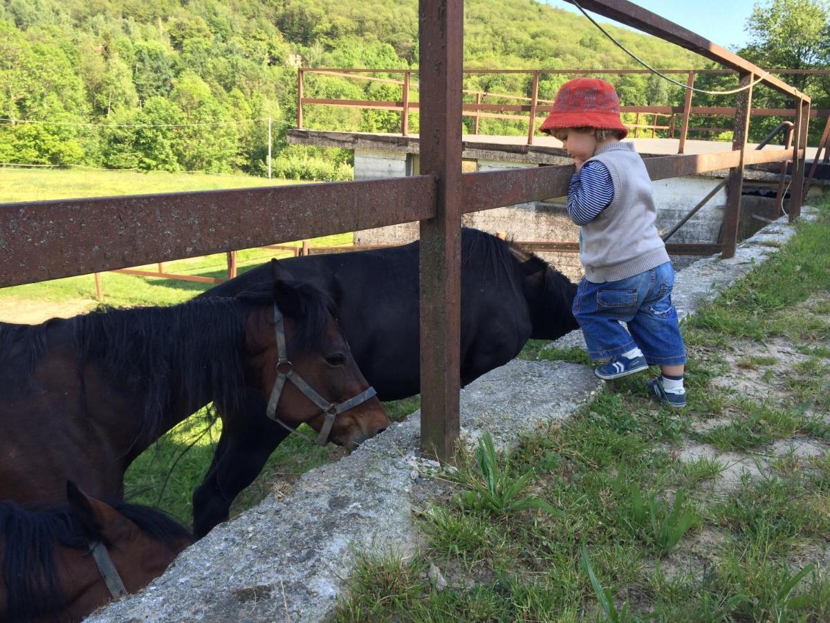 Favetto Family Ranch Rueglio Exterior foto